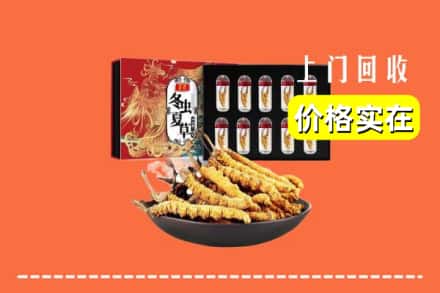 佛山高明区回收冬虫夏草